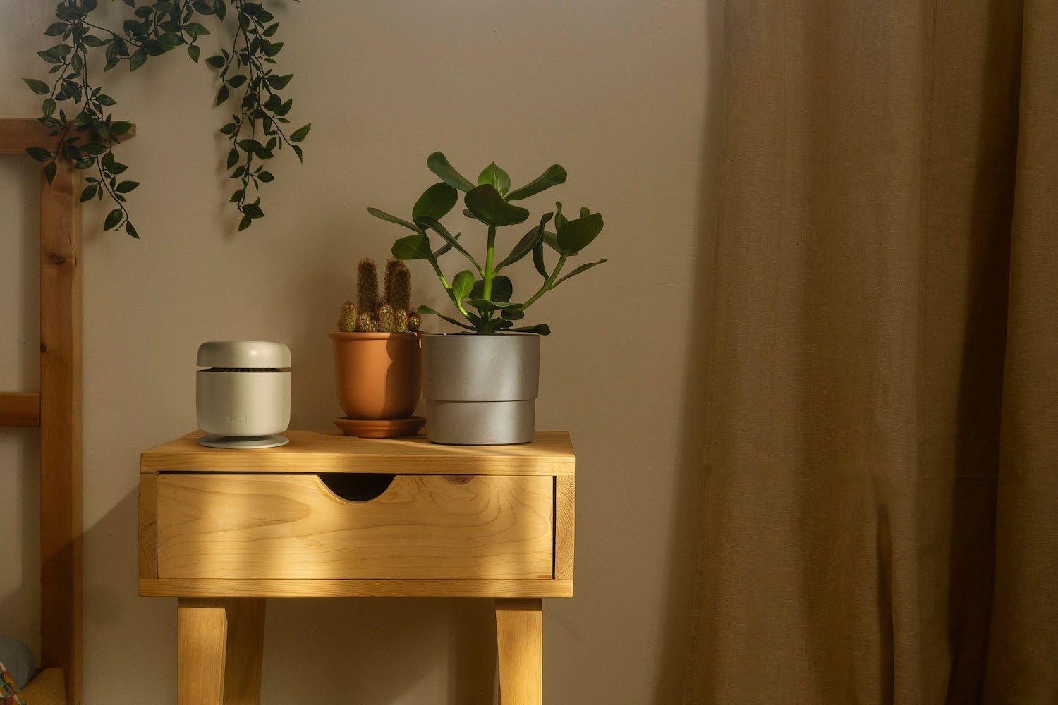 Aroma Amplifier (Black)