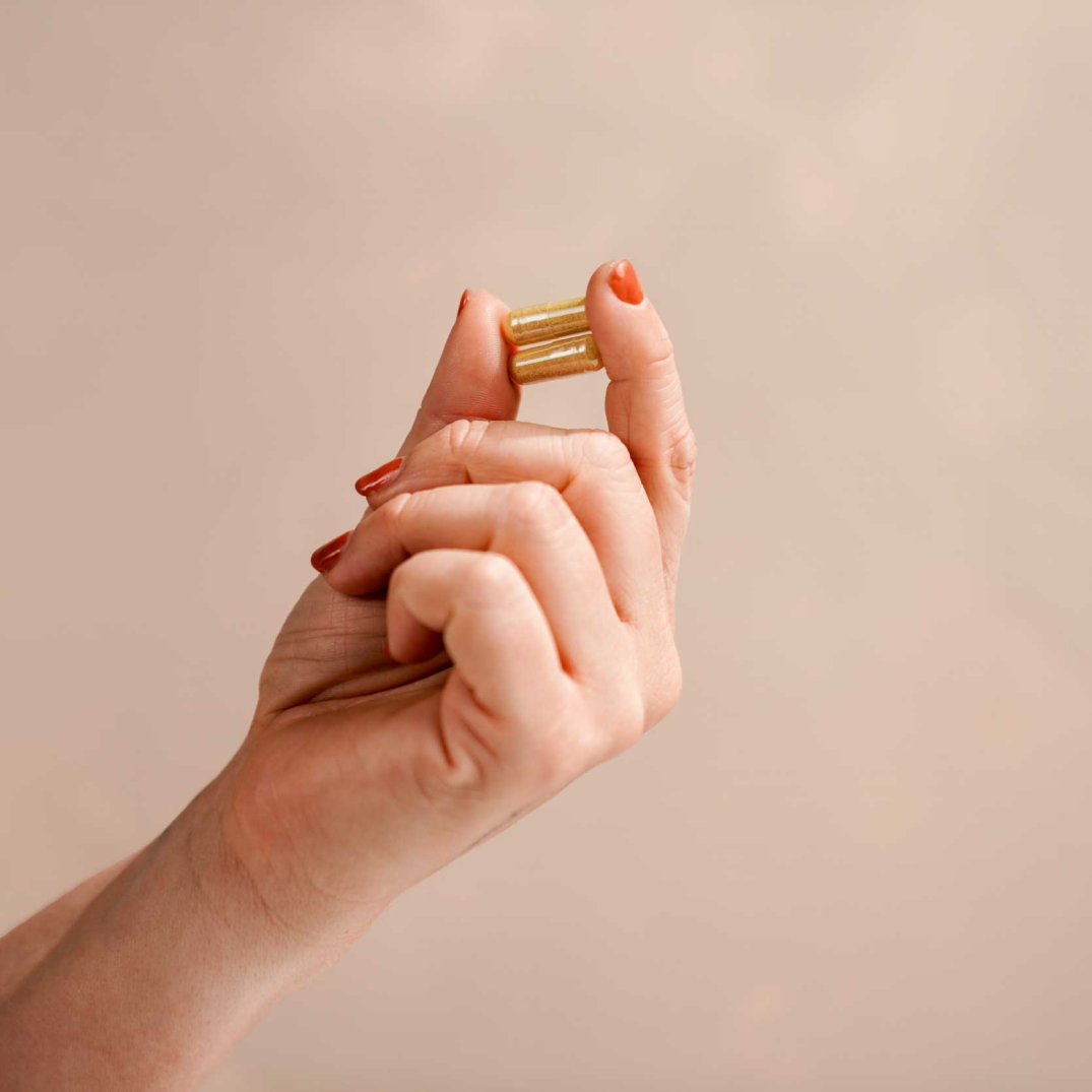 Digest - MB40 Probiotic