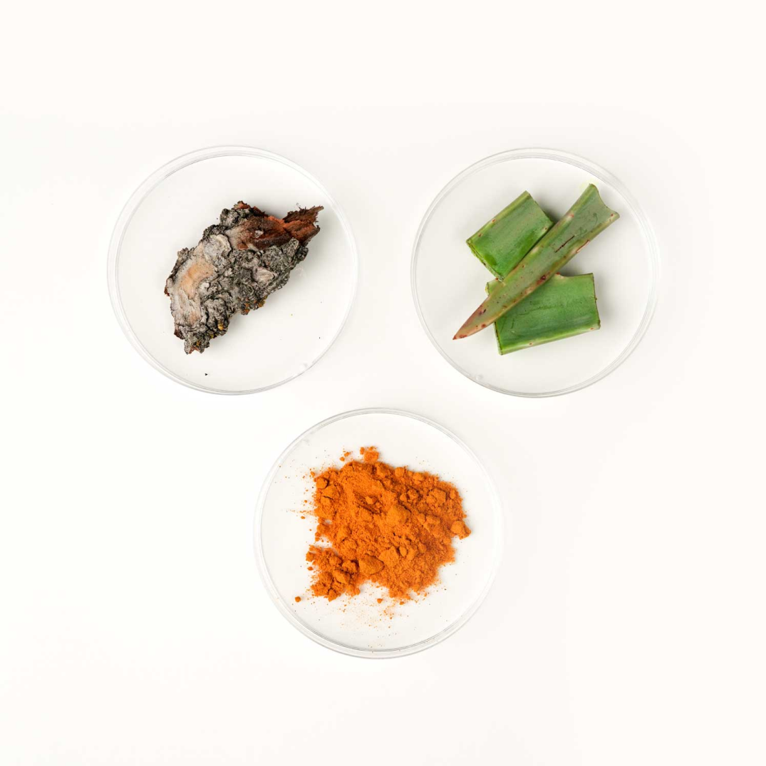 Digest - MB40 Probiotic