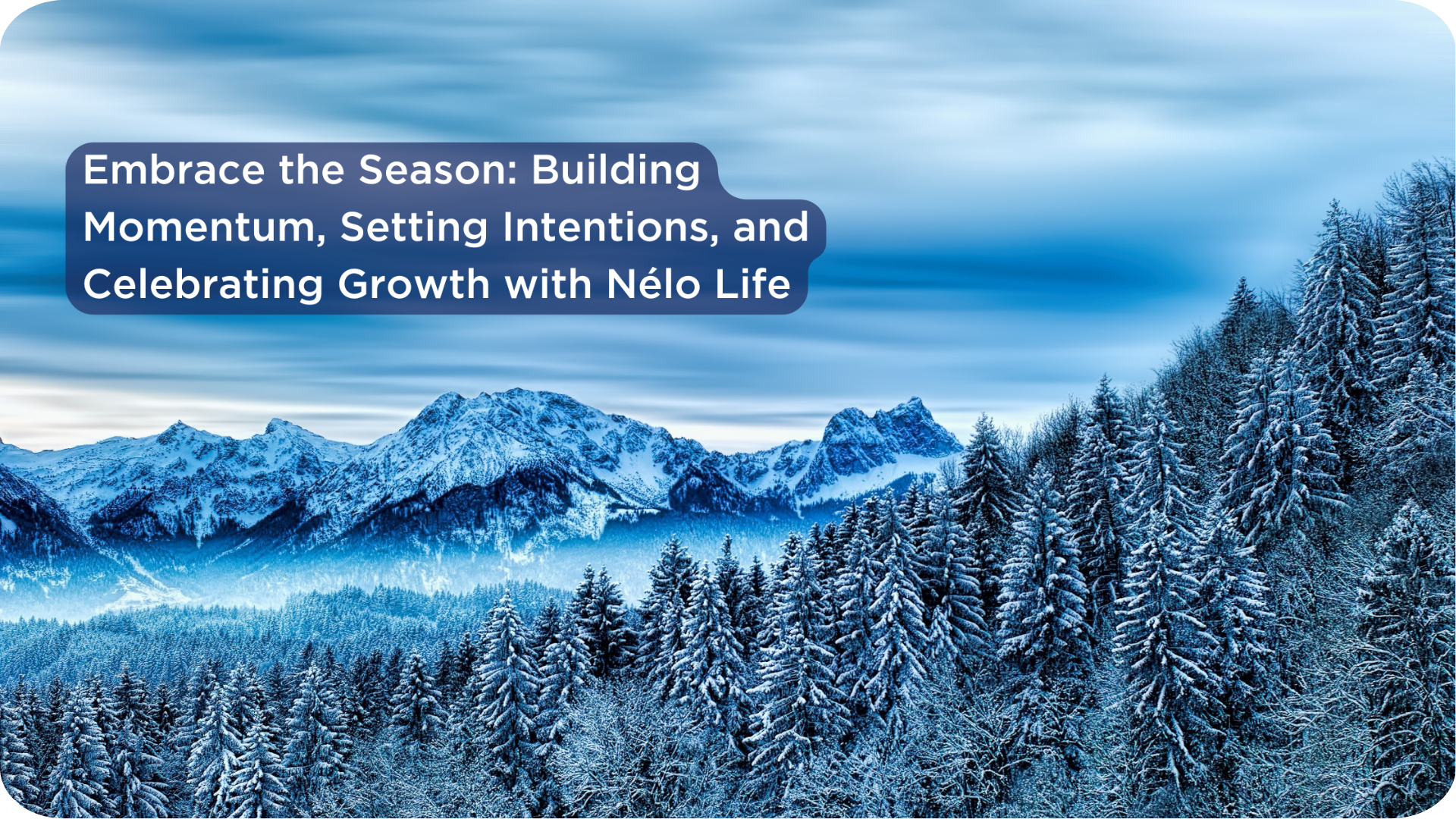 Embrace the Season: Building Momentum, Setting Intentions, and Celebrating Growth with Nélo Life