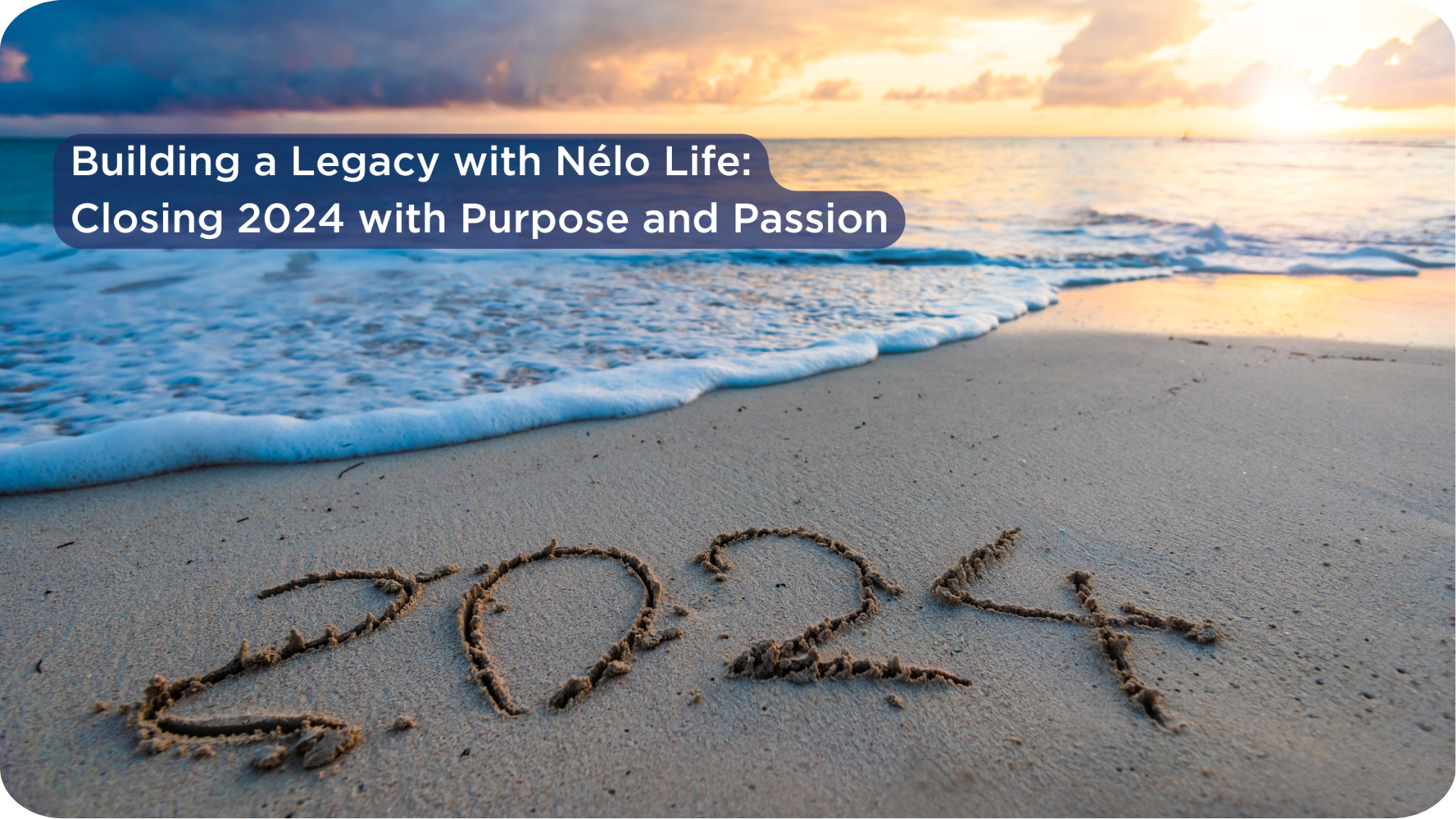 Building a Legacy with Nélo Life: Closing 2024 with Purpose and Passion