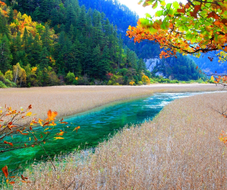 Jiuzhaigou, China Nélo LIFEtrip